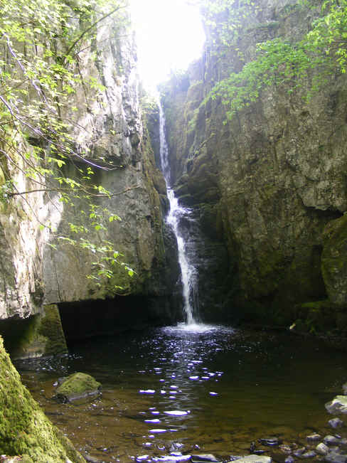 Catrigg Force
