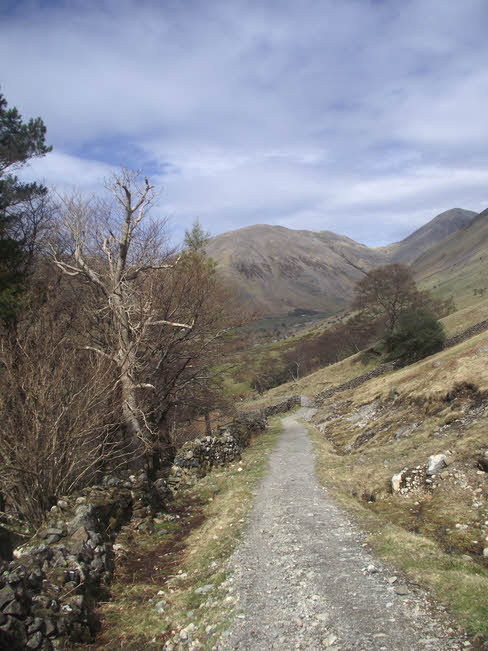 Track alongside Fence Wood, Wasdale