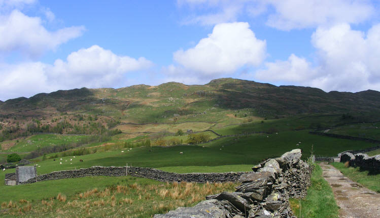 Hundreds Road, Wansfell