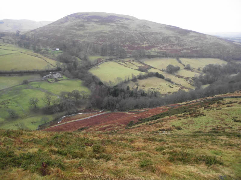 Ling Fell from Sale