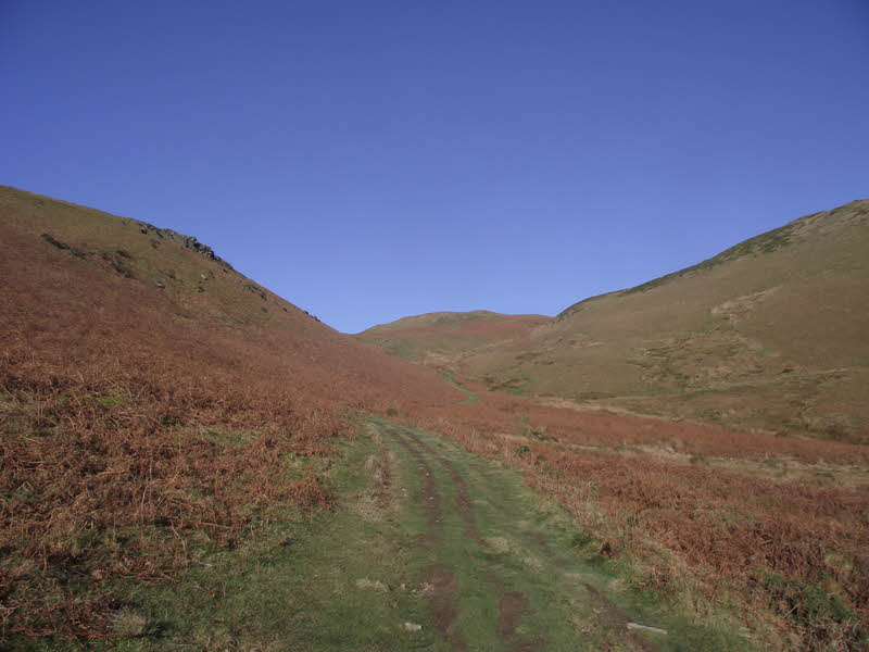 Moor Gill, Black Combe 