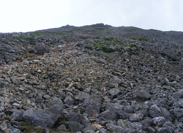 Western slope of Scafell