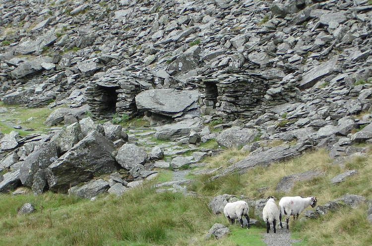 Shelters at Small Water
