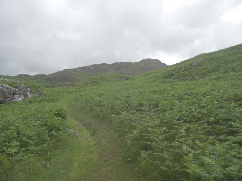 Stickle Pike seen from the West 