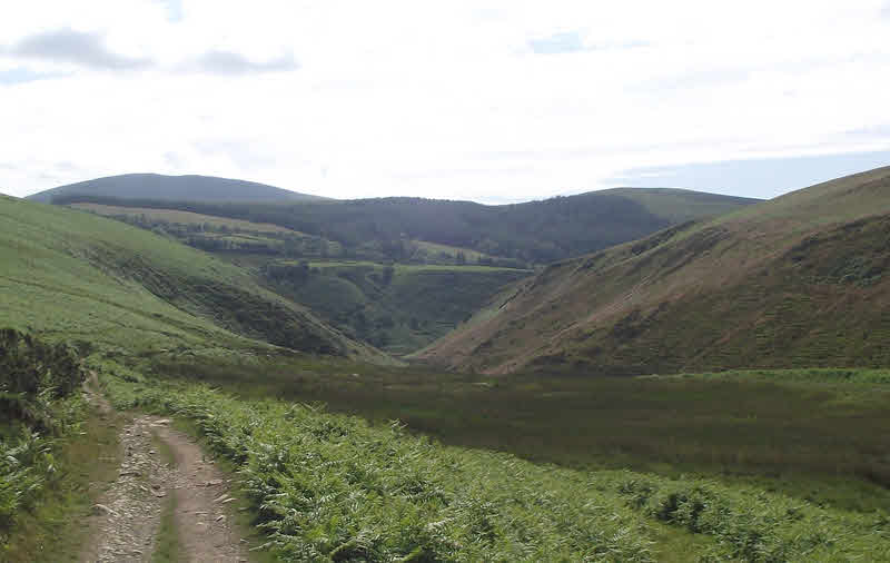 Towards Nannycatch Gate from Dent 