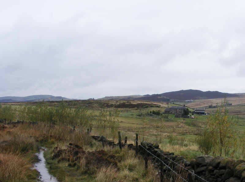 Blue Hills from the Roaches