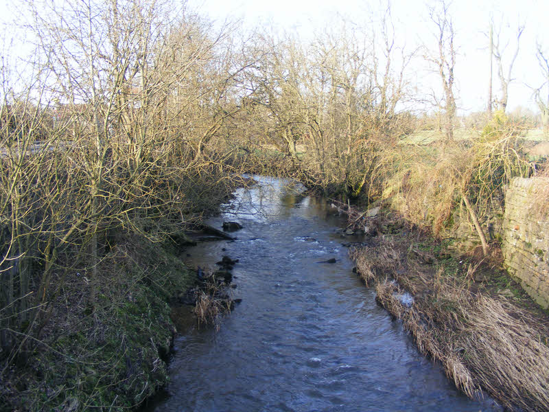 River Hamps at Waterhouses 