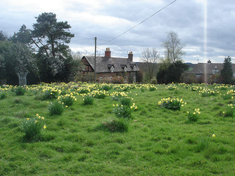 Minton, Shropshire